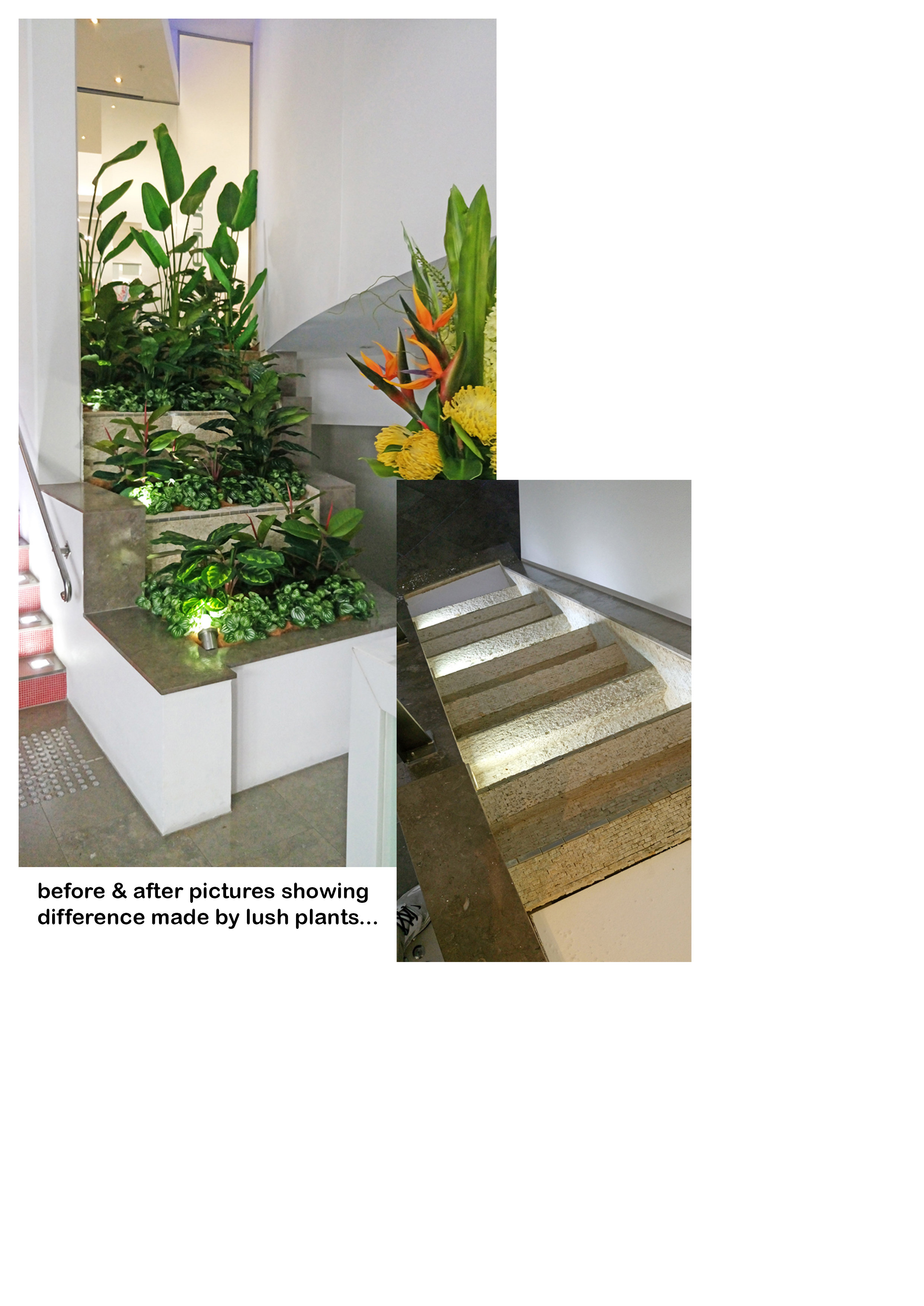 Before & After Shots...... low Planters 3